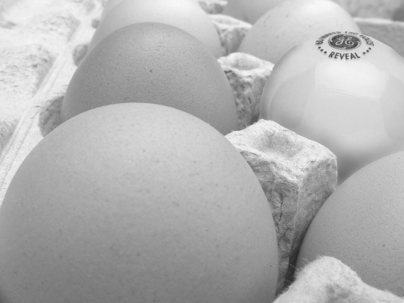 Diseño de Photoshop por deadgirlsdont para DesignCrowd (Community Contests) | Diseño #9045678