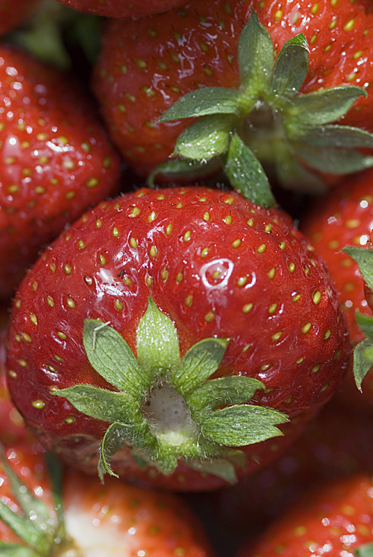 Photography by Joanne25 for DesignCrowd (Community Contests) | Design #9045234