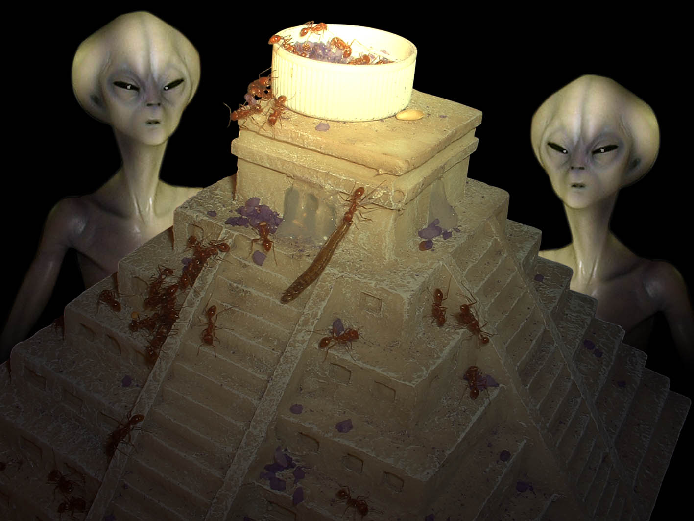 Diseño de Photoshop por GTAPEX para DesignCrowd (Community Contests) | Diseño #9050879