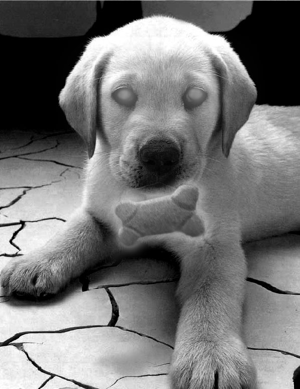 Photoshop-Design von h2oscienceguy081 für DesignCrowd (Community Contests) | Design #9043966