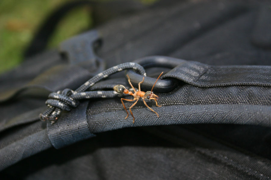 Fotografía por katjajoergensen para DesignCrowd (Community Contests) | Diseño #9042253