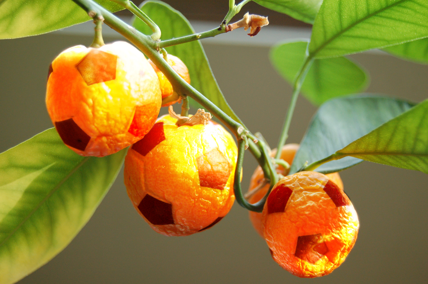 Diseño de Photoshop por deadgirlsdont para DesignCrowd (Community Contests) | Diseño #9049217