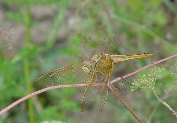 Photography by meisam for DesignCrowd (Community Contests) | Design #9042261