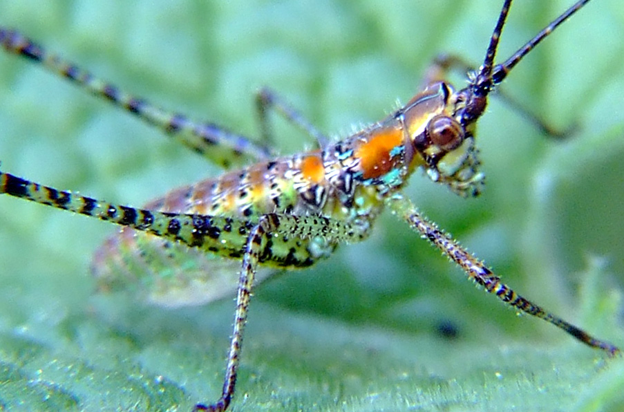 Photography by PatrickRyan for DesignCrowd (Community Contests) | Design #9042325