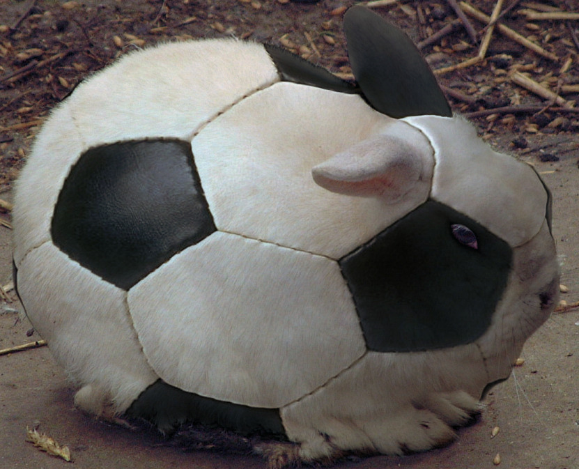 Photoshop-Design von Hobbit90 für DesignCrowd (Community Contests) | Design #9049313