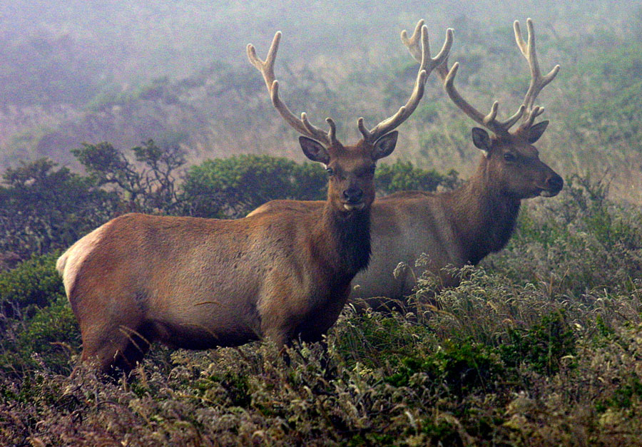 Photography by drogers for DesignCrowd (Community Contests) | Design #9049742