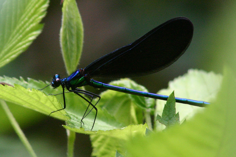 Photography by rdchdwck for DesignCrowd (Community Contests) | Design #9042299