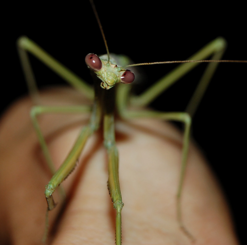 Photography by ffourie for DesignCrowd (Community Contests) | Design #9042408