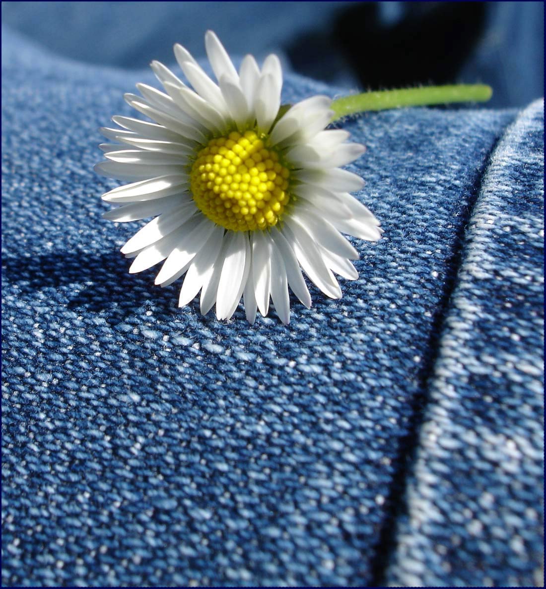 Photography by wannajo for DesignCrowd (Community Contests) | Design #9038093