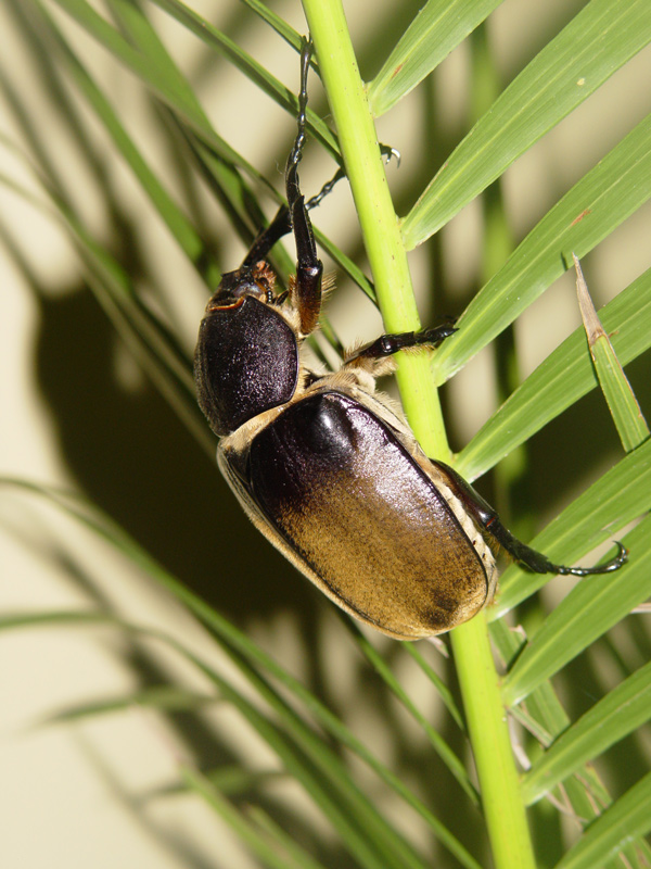 Photography by TtownGirl for DesignCrowd (Community Contests) | Design #9042392