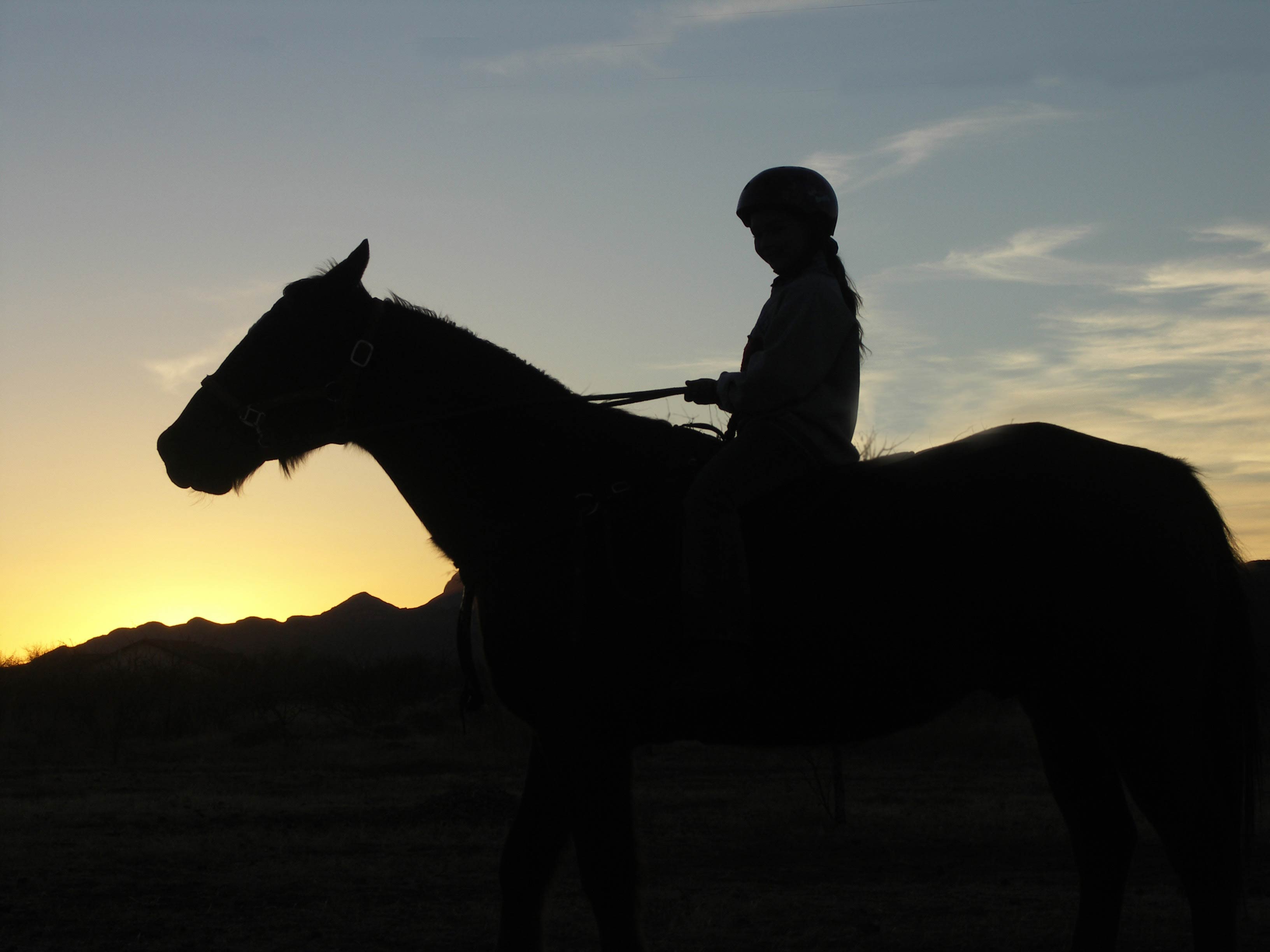 Photography by SpeakingOfAmethyst for DesignCrowd (Community Contests) | Design #9052271