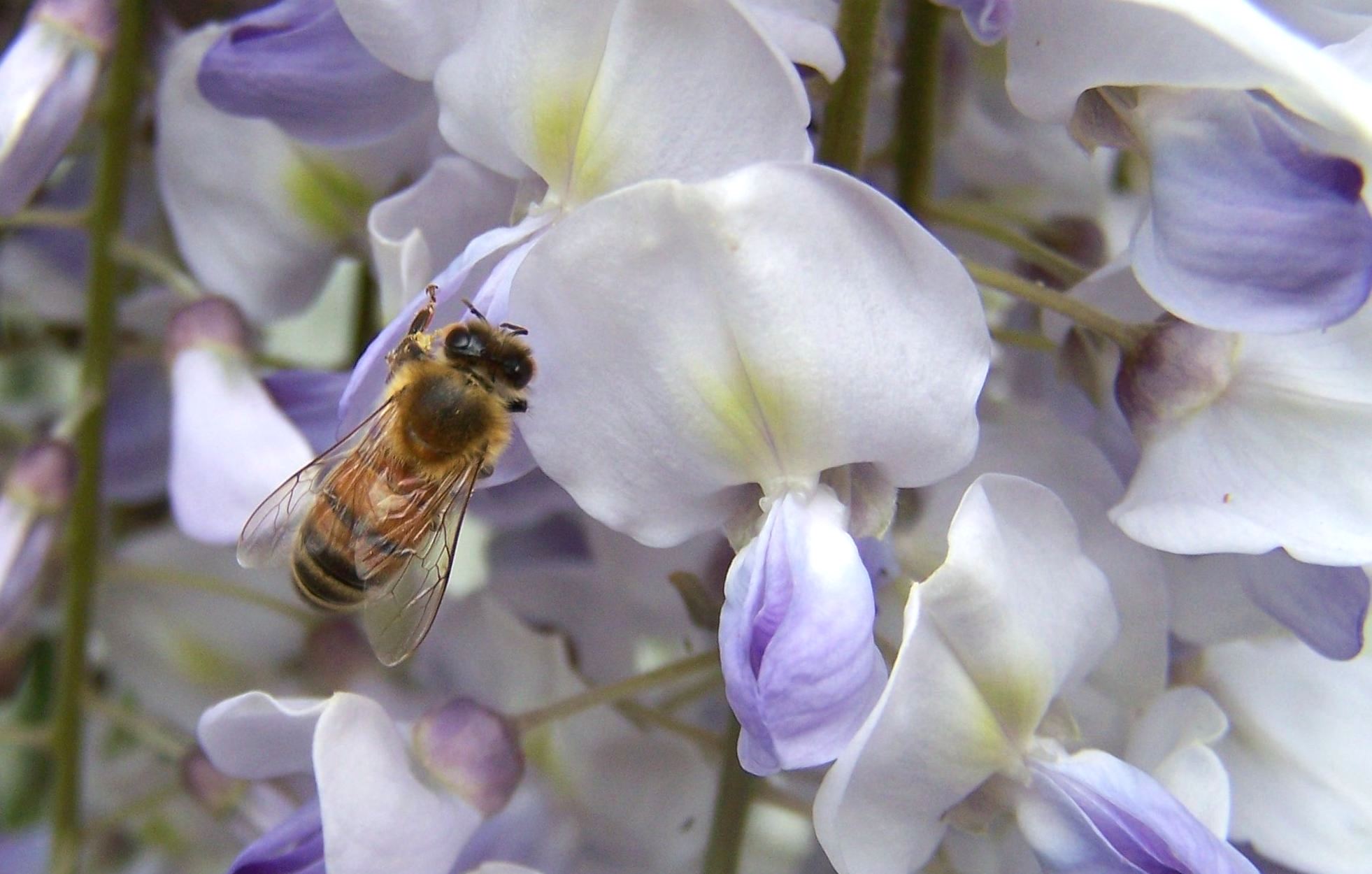 Photography by Mathavious for DesignCrowd (Community Contests) | Design #9042430