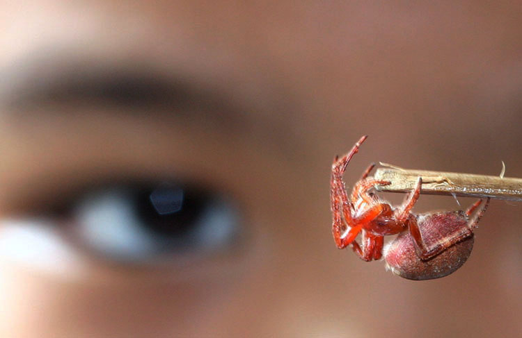 Photography by eslwinshot for DesignCrowd (Community Contests) | Design #9042377