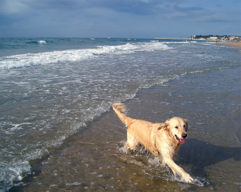 Fotografie von IsleofJura für DesignCrowd (Community Contests) | Design #9049722