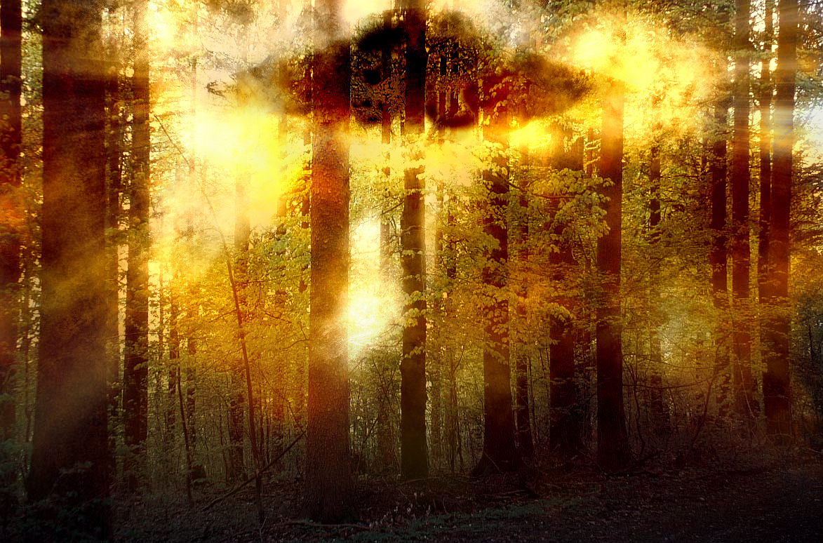Photoshop Design by armogeden for DesignCrowd (Community Contests) | Design #9049151