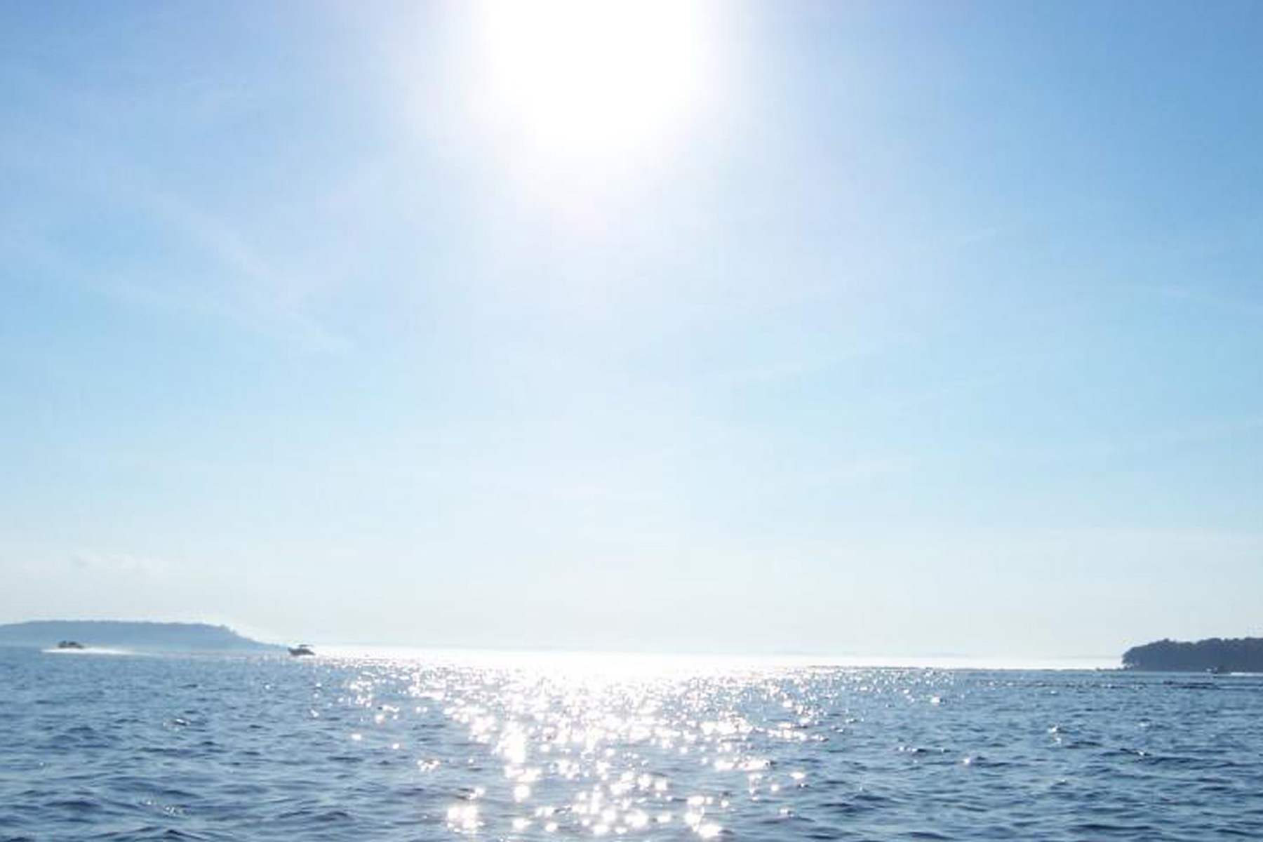 Photography by sunnymitsu for DesignCrowd (Community Contests) | Design #9049775