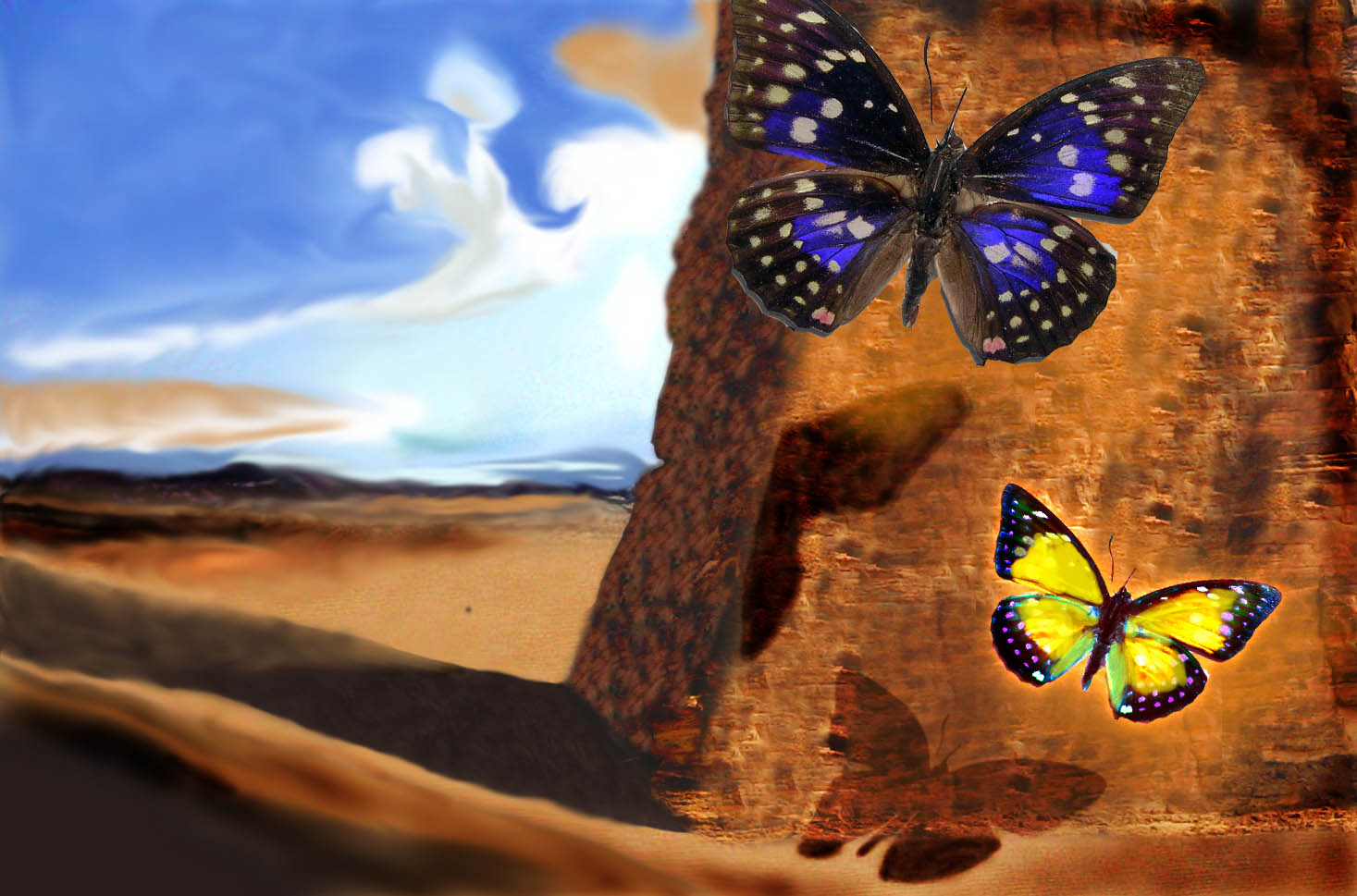Photoshop-Design von Boomerdog für DesignCrowd (Community Contests) | Design #9049560