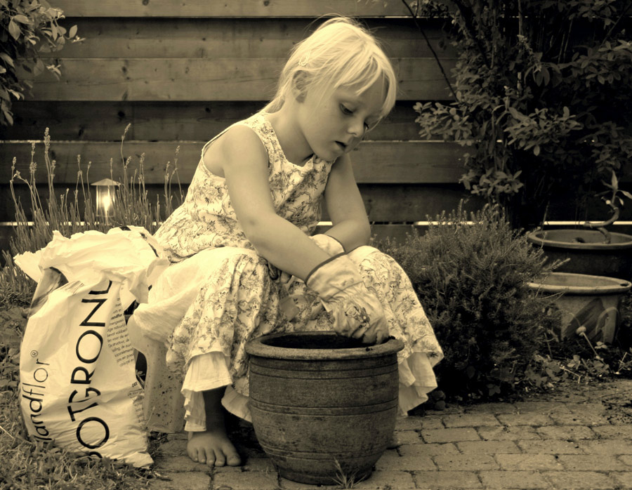 Fotografía por Halkatla para DesignCrowd (Community Contests) | Diseño #9049813