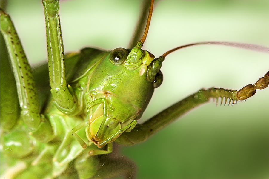 Photography by branie for DesignCrowd (Community Contests) | Design #9042372