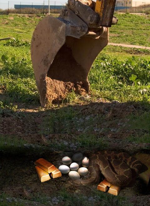 Photoshop Design by ciwecom for DesignCrowd (Community Contests) | Design #9038139