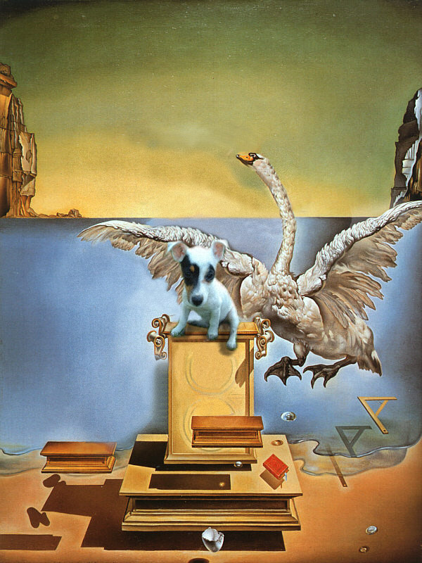 Diseño de Photoshop por dettemelow para DesignCrowd (Community Contests) | Diseño #9043371