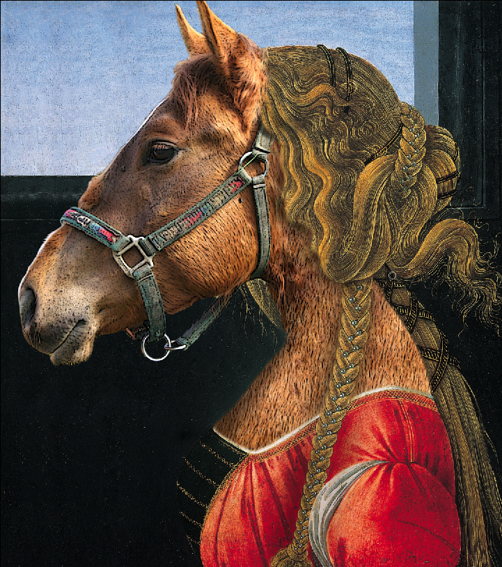 Photoshop-Design von beckinacea für DesignCrowd (Community Contests) | Design #9043387