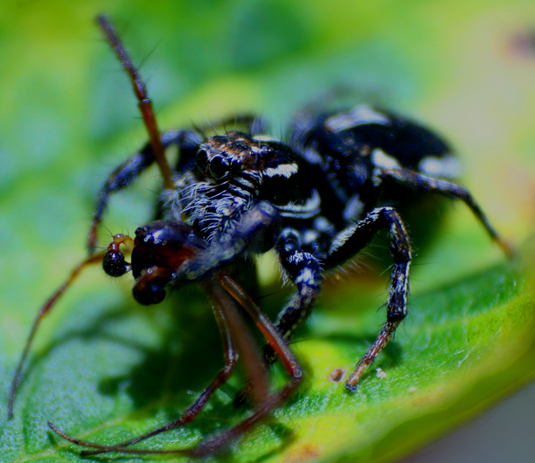 Photography by ELEAZAR for DesignCrowd (Community Contests) | Design #9042644