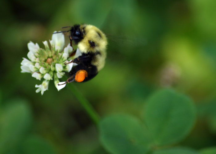 Photography by scratattack5 for DesignCrowd (Community Contests) | Design #9042670