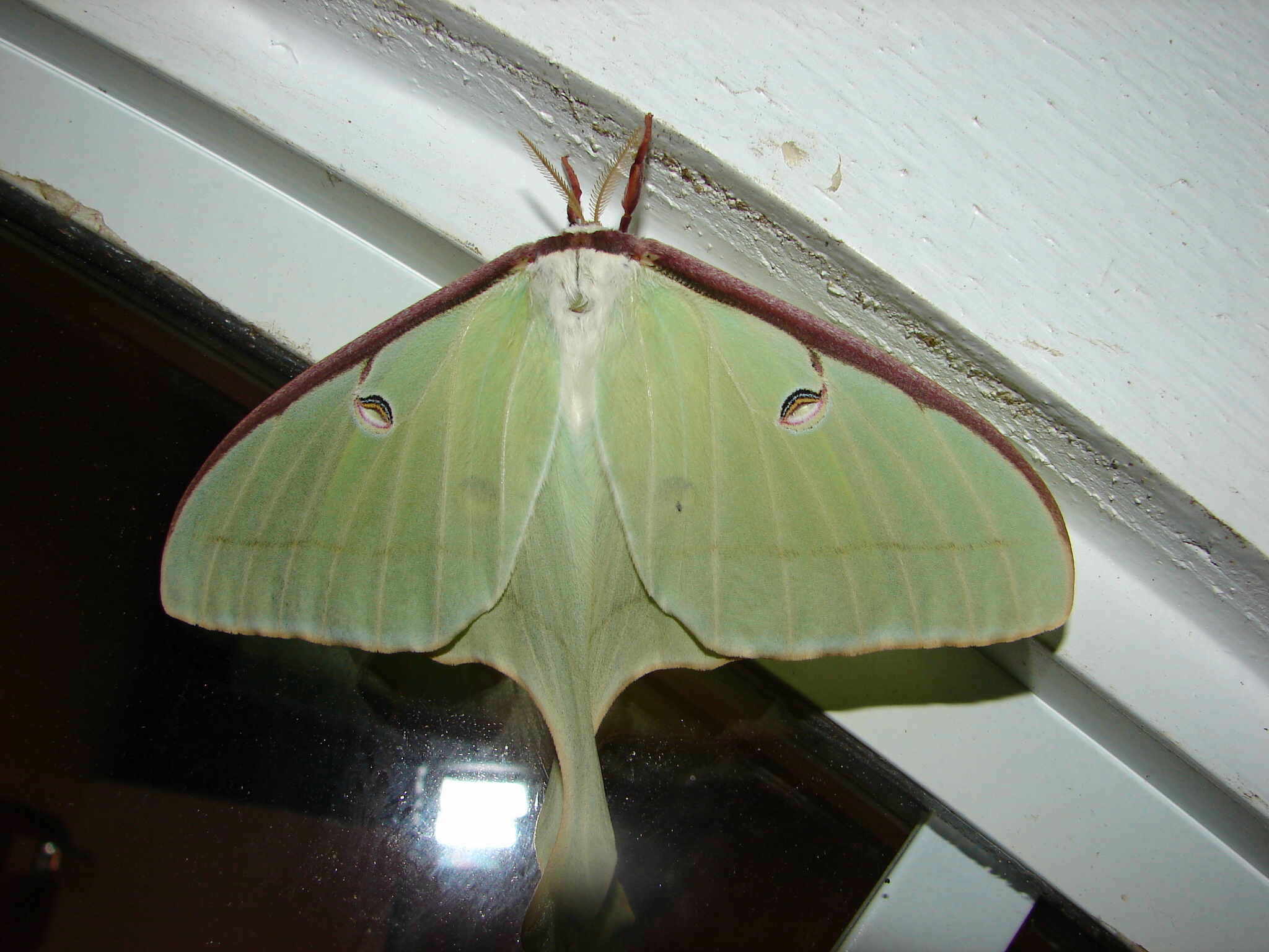 Photography by FireBallXL15 for DesignCrowd (Community Contests) | Design #9042662