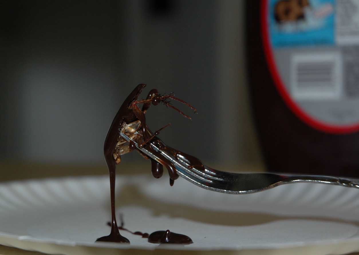 Photography by bryguy54 for DesignCrowd (Community Contests) | Design #9042632