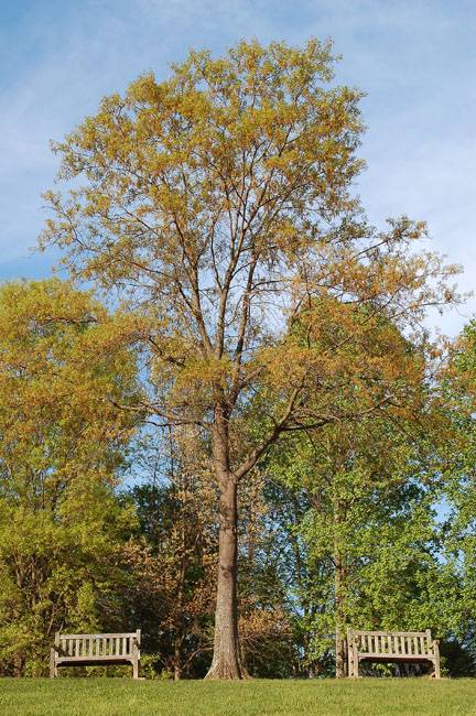 Photography by m3mane30 for DesignCrowd (Community Contests) | Design #9051042