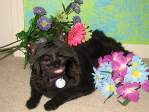 Photoshop-Design von emilylt87 für DesignCrowd (Community Contests) | Design #9037423