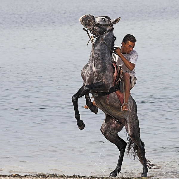 Photography by TonioRoffo for DesignCrowd (Community Contests) | Design #9045988