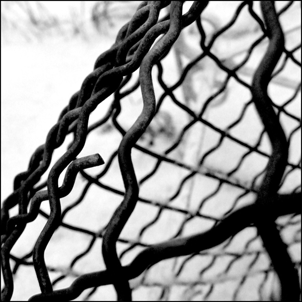 Photography by Flibble for DesignCrowd (Community Contests) | Design #9045995