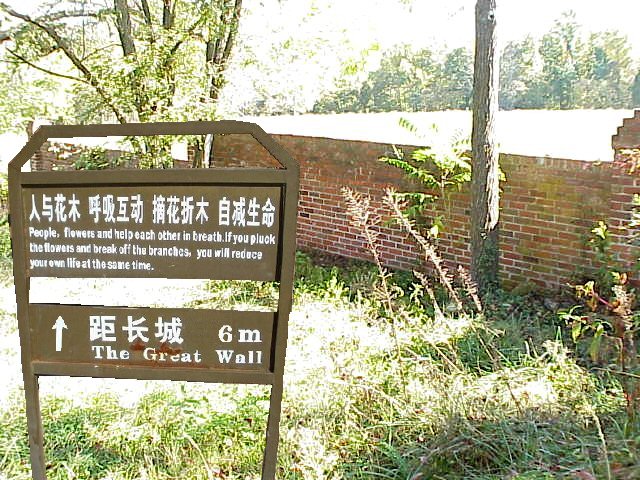 Photoshop Design by tomtomass for DesignCrowd (Community Contests) | Design #9048707