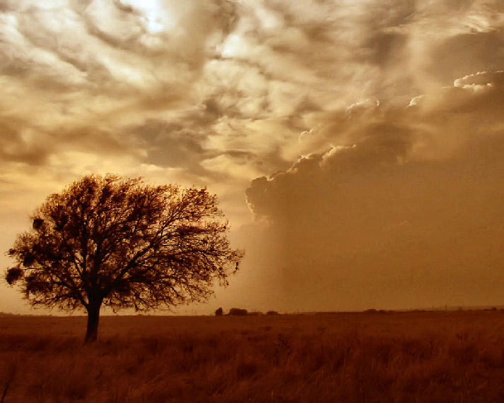 Fotografie von Suziecuchon für DesignCrowd (Community Contests) | Design #9037718