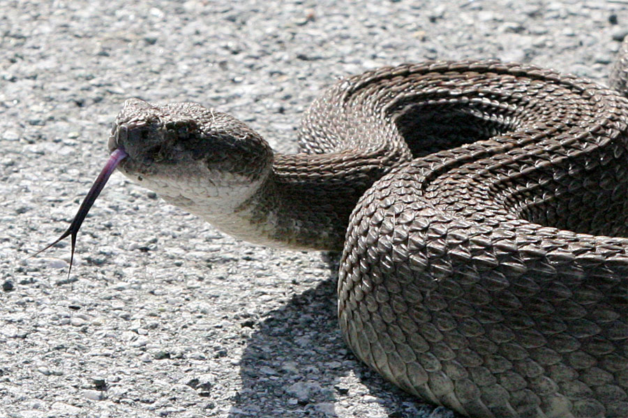 Photography by drogers for DesignCrowd (Community Contests) | Design #9037764