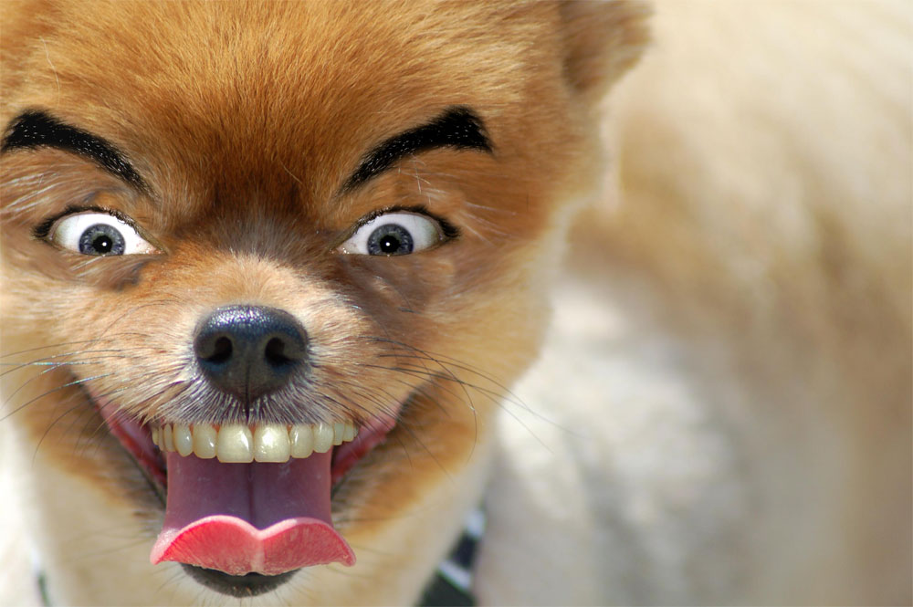 Diseño de Photoshop por mattbyng para DesignCrowd (Community Contests) | Diseño #9037516