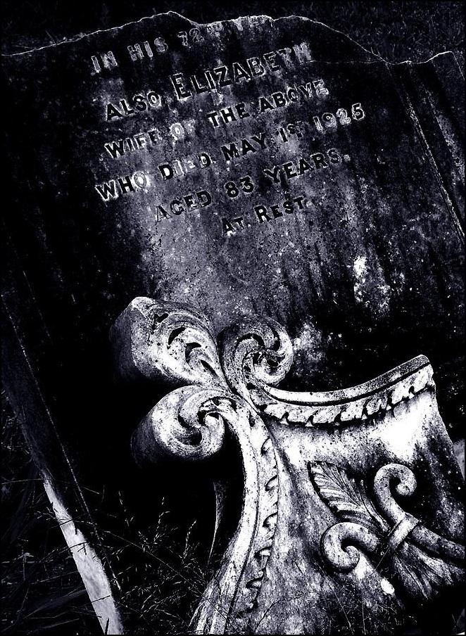 Photography by Isabella2006 for DesignCrowd (Community Contests) | Design #9057796