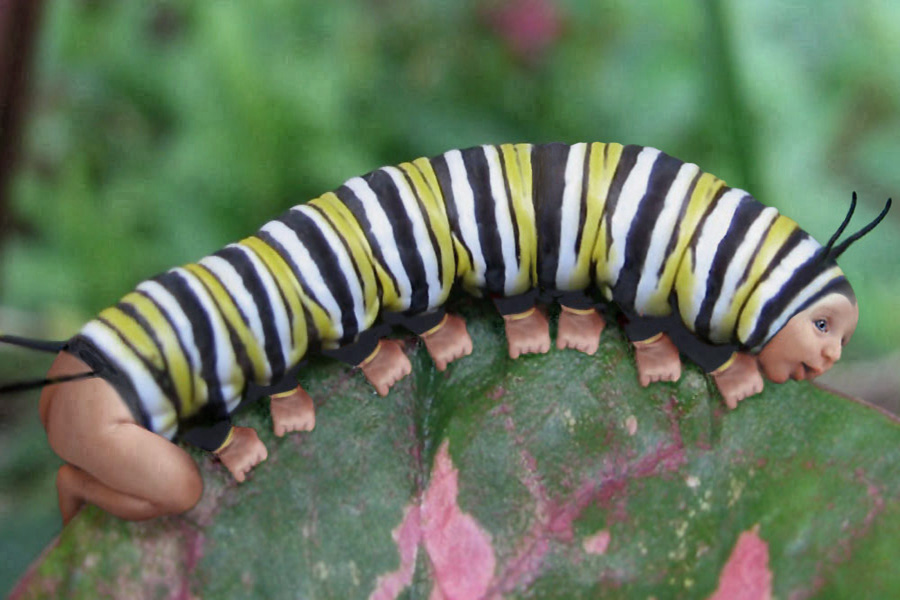 Design Photoshop par lindon pour DesignCrowd (Community Contests) | Design #9037639