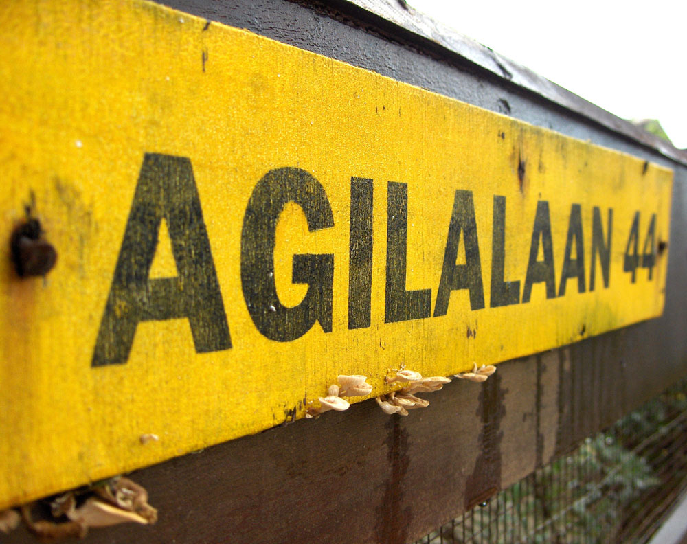 Fotografía por bliemsgirl para DesignCrowd (Community Contests) | Diseño #9057795