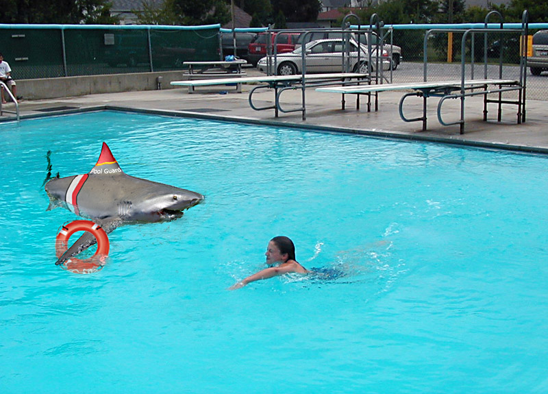 Photoshop-Design von PetziK für DesignCrowd (Community Contests) | Design #9037127