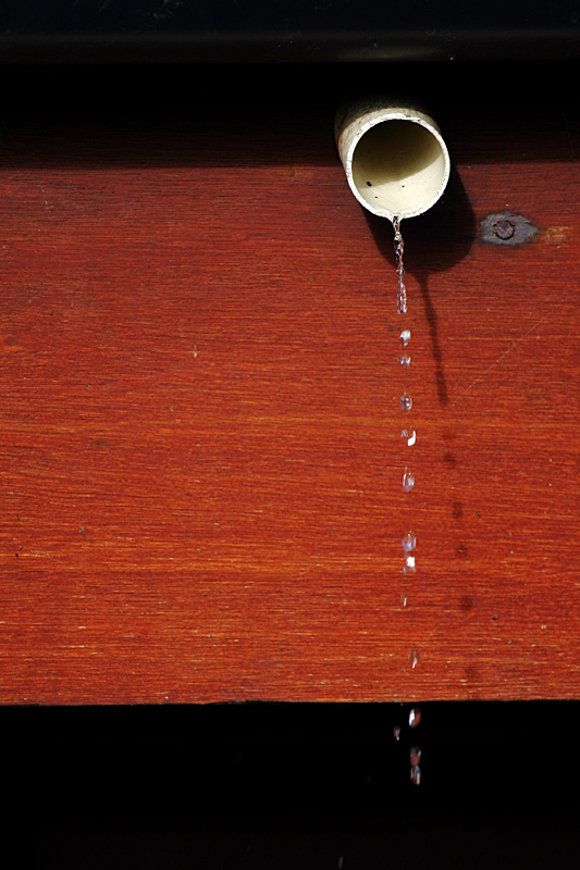 Fotografie von SigloV für DesignCrowd (Community Contests) | Design #9037735