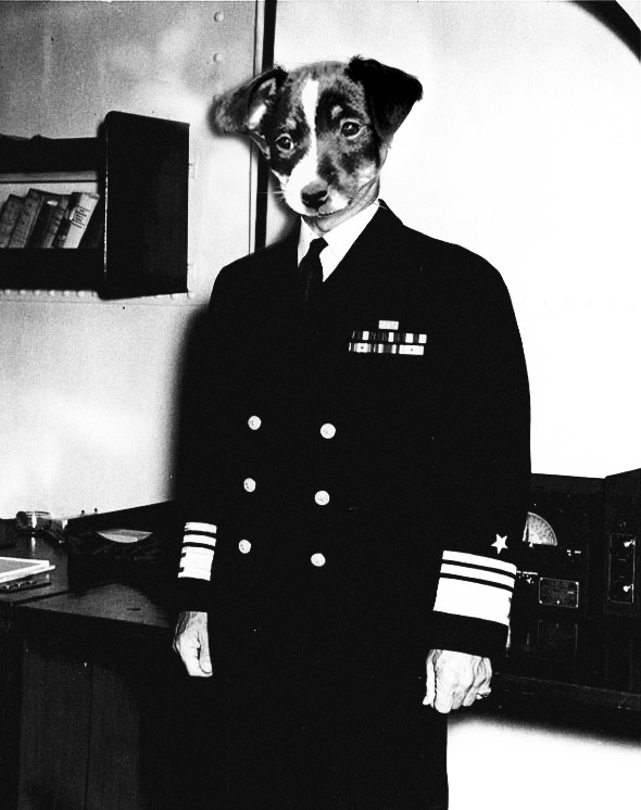 Photoshop Design by gvignes for DesignCrowd (Community Contests) | Design #9037648