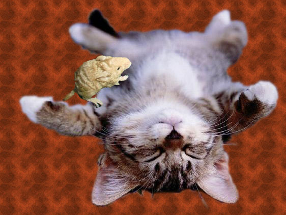 Design Photoshop par whimsical pour DesignCrowd (Community Contests) | Design #9037192