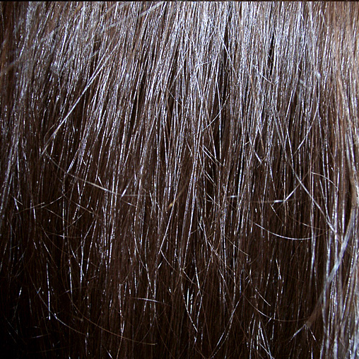 Photography by drogers for DesignCrowd (Community Contests) | Design #9046078