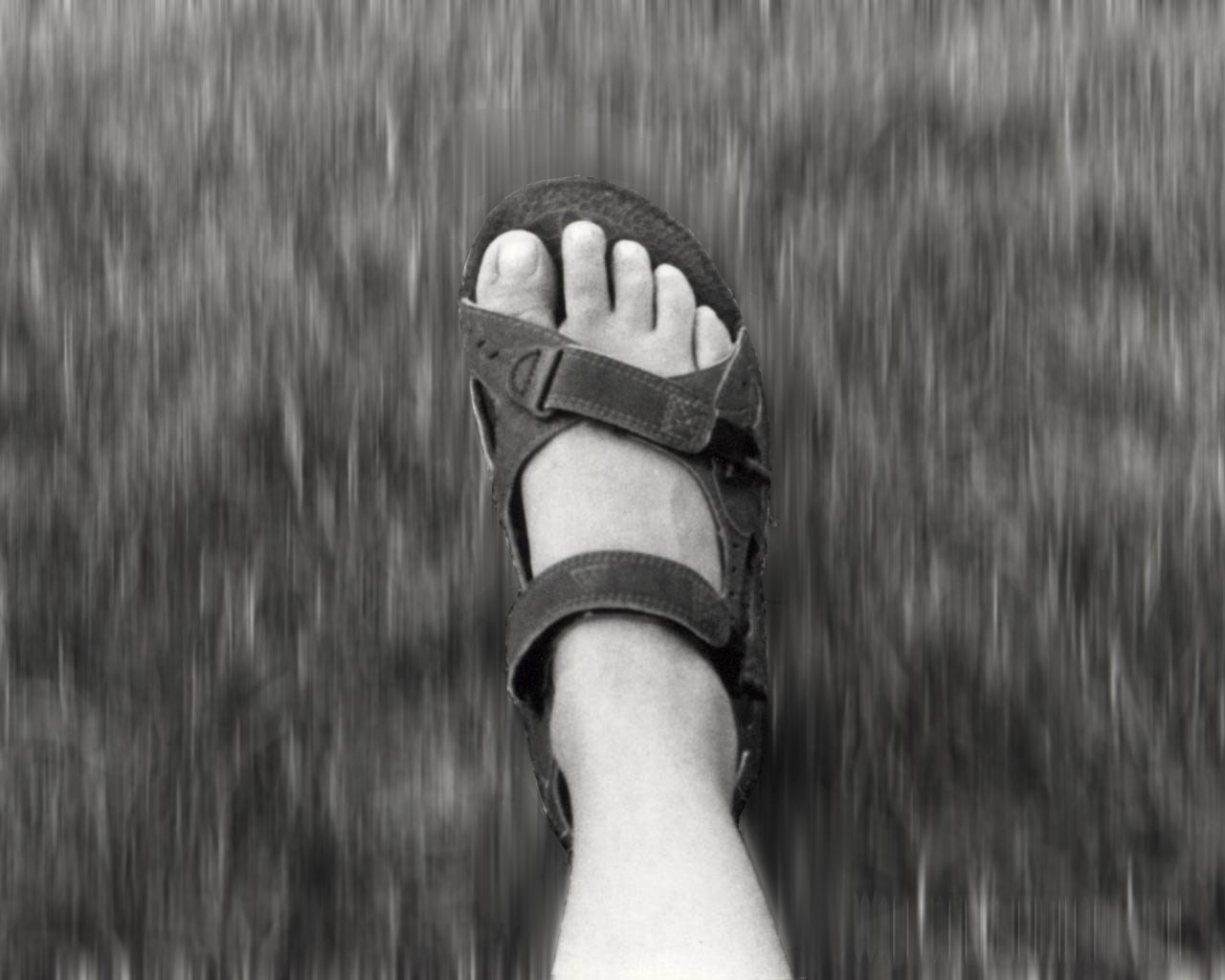 Photoshop Design by sushantkunal for DesignCrowd (Community Contests) | Design #9043991