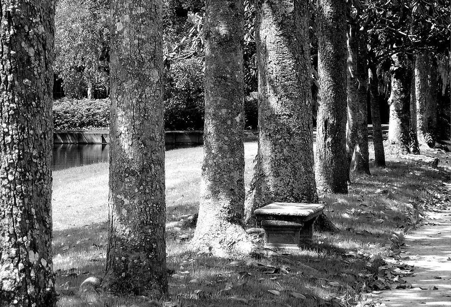 Fotografie von ritab218 für DesignCrowd (Community Contests) | Design #9051112