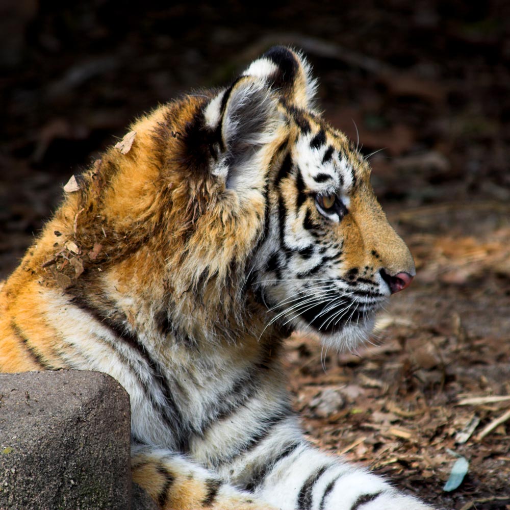 Fotografie von crgnjul für DesignCrowd (Community Contests) | Design #9046089