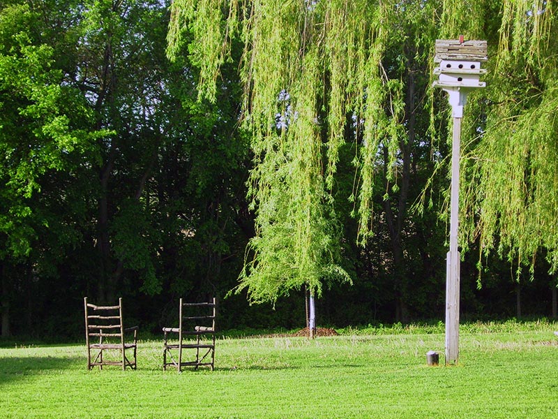 Photography by revdave33 for DesignCrowd (Community Contests) | Design #9051143